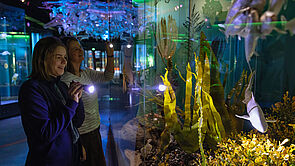 Zwei Mädchen leuchten mit einer Taschenlampe auf einen kleinen Hai in einem Aquarium.