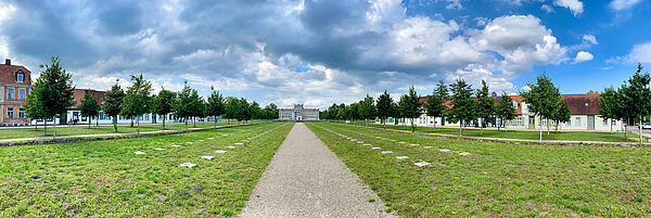 Links und rechts ist eine Wiese. Dazwischen befindet sich ein Weg. Der Weg ist lang. Am Ende des Weges steht ein Schloss. 